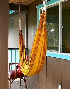 Ixchel Hawaii Hotel Fern Forest