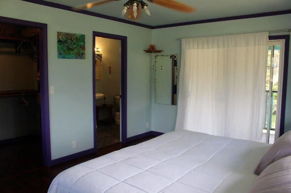 Ixchel Hawaii Hotel Fern Forest 2*,  United States