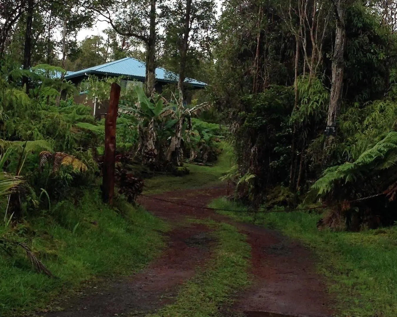 Ixchel Hawaii Hotel Fern Forest