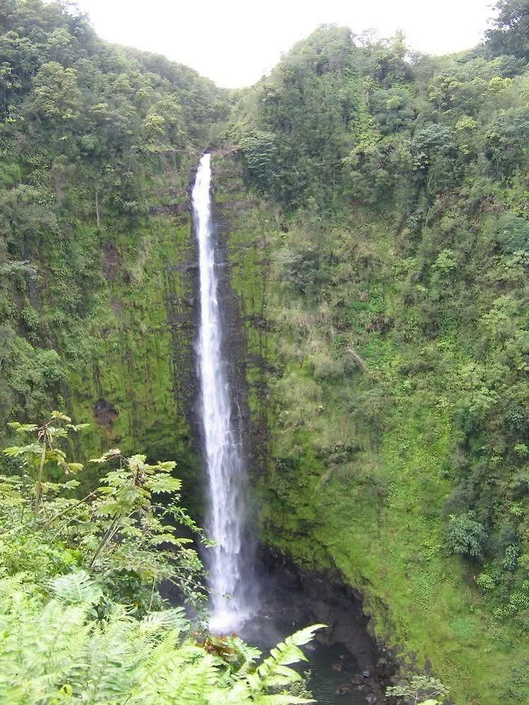**  Ixchel Hawaii Hotel Fern Forest United States